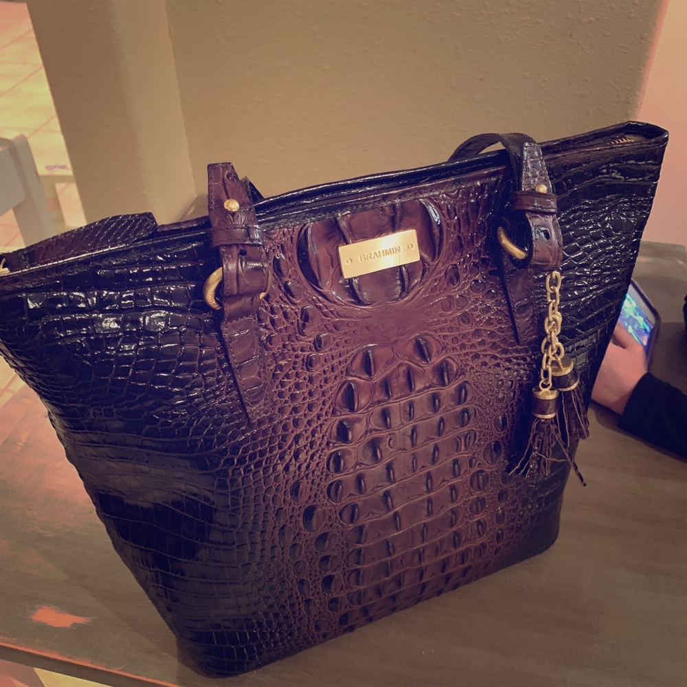 NWT Brahmin Asher purse